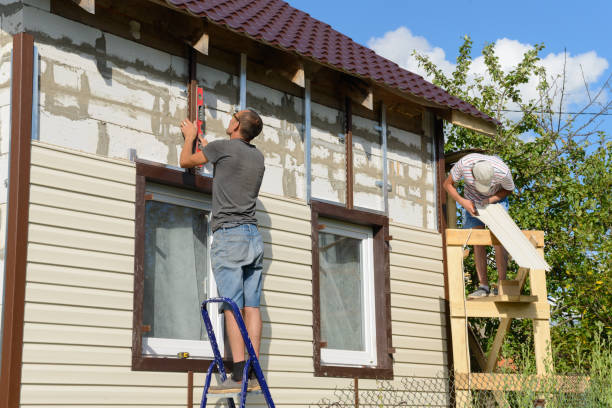 Best Custom Trim and Detailing for Siding  in USA